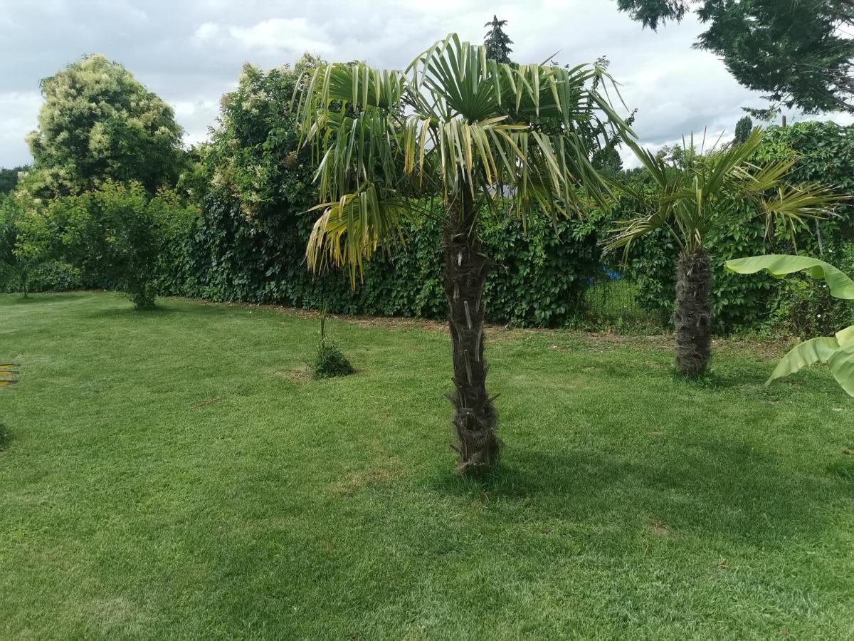 Jolie Villa Avec Piscine Dans Le St Emilionnais Sainte-Terre Εξωτερικό φωτογραφία